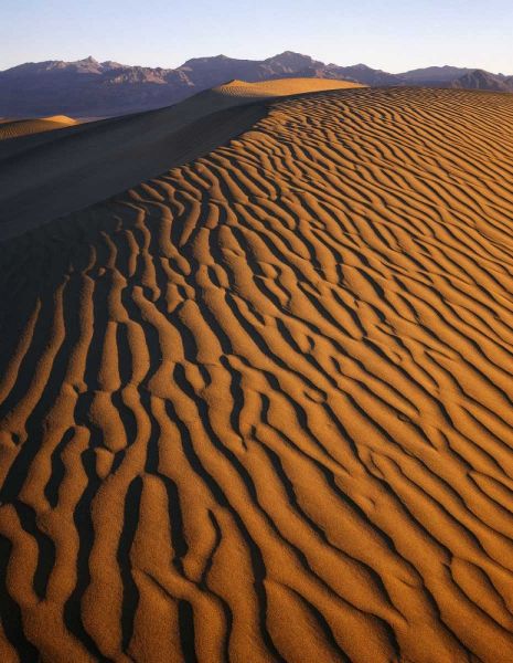 Patterns at Mesquite Sand dunes, Death Valley, CA